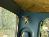 Enlarge photo 33