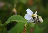 Enlarge photo 14