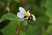 Enlarge photo 16