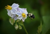 Enlarge photo 20