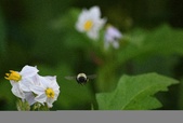 Enlarge photo 29