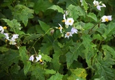 Enlarge photo 27
