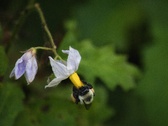 Enlarge photo 28