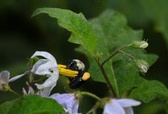 Enlarge photo 33