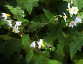Enlarge photo 32