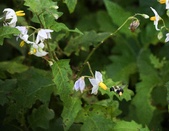 Enlarge photo 31