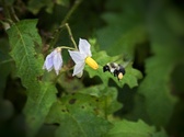 Enlarge photo 35