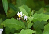Enlarge photo 36