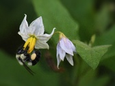 Enlarge photo 37