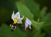 Enlarge photo 39