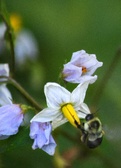Enlarge photo 40