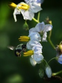 Enlarge photo 44