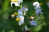 Enlarge photo 43