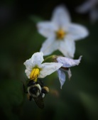 Enlarge photo 45
