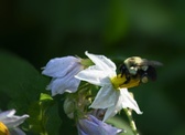 Enlarge photo 48
