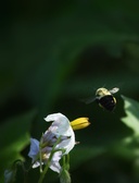 Enlarge photo 49