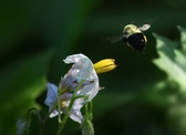 Enlarge photo 38