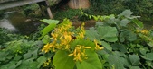 Enlarge photo 35
