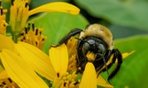 Enlarge photo 32