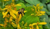 Enlarge photo 25