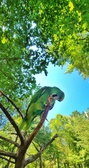 Enlarge photo 25