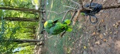 Enlarge photo 24