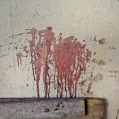 Enlarge photo 28