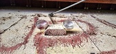 Enlarge photo 34
