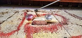 Enlarge photo 35