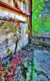 Enlarge photo 32
