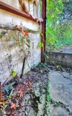 Enlarge photo 33