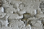 Enlarge photo 45
