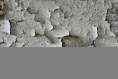 Enlarge photo 48