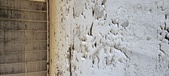 Enlarge photo 283