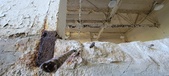 Enlarge photo 277