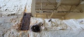 Enlarge photo 275
