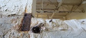 Enlarge photo 274