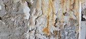 Enlarge photo 273