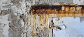 Enlarge photo 270
