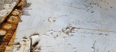Enlarge photo 268