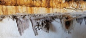 Enlarge photo 266