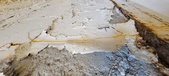Enlarge photo 259