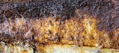 Enlarge photo 253