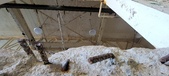Enlarge photo 247