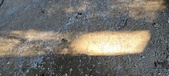 Enlarge photo 243