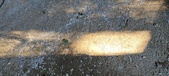 Enlarge photo 242