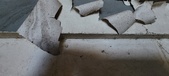 Enlarge photo 237