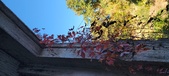 Enlarge photo 232
