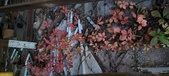 Enlarge photo 231