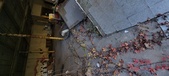 Enlarge photo 227
